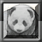 China Panda Zuma