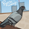 Pigeon&s Revenge
