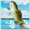 Bass Fishing Pro Score: 111 168