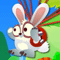 Flying Rabbit